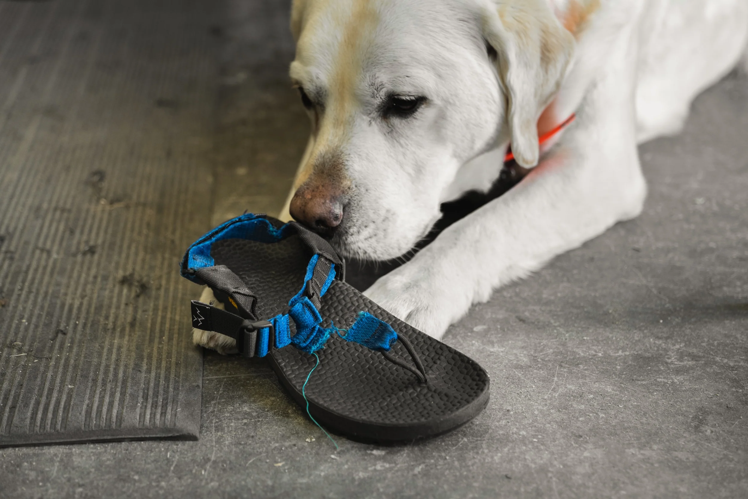 Sandal Strap Repair